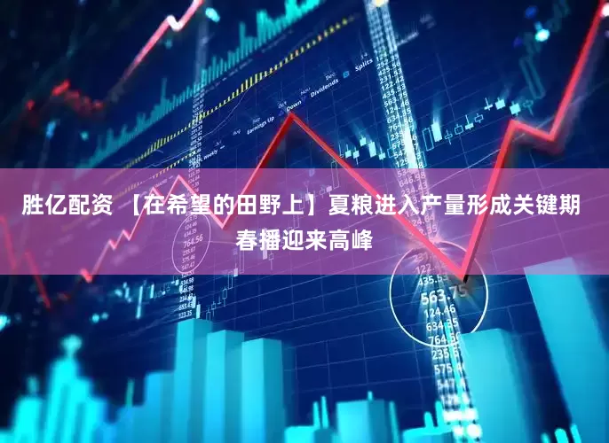 胜亿配资 【在希望的田野上】夏粮进入产量形成关键期 春播迎来高峰