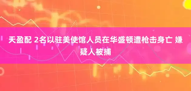 天盈配 2名以驻美使馆人员在华盛顿遭枪击身亡 嫌疑人被捕