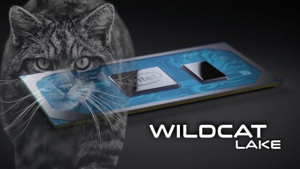 普惠配资 英特尔Wildcat Lake CPU不支持光线追踪 仅搭载两个“Xe3”RT单元和XMX核心