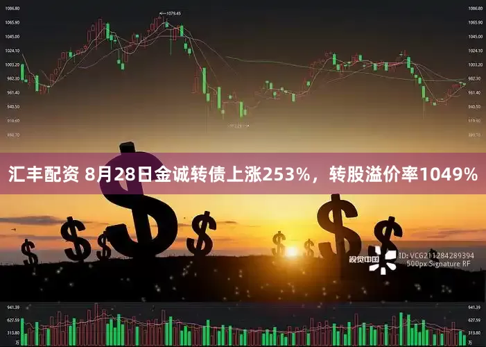 汇丰配资 8月28日金诚转债上涨253%，转股溢价率1049%